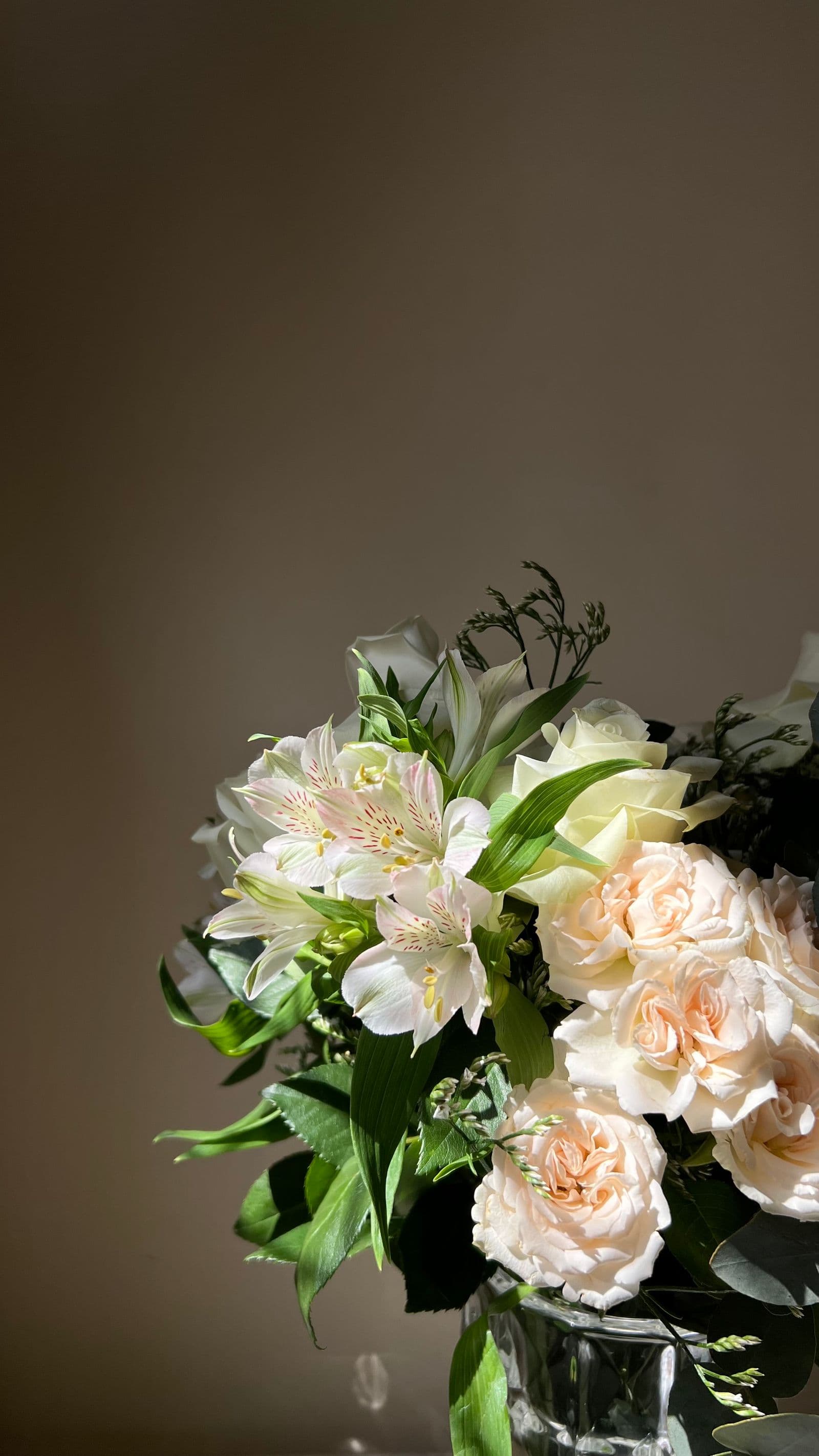 Photo booth rentals Service